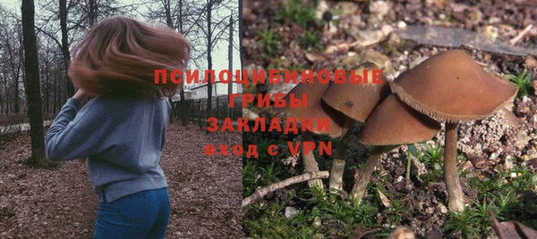 СК Алексеевка