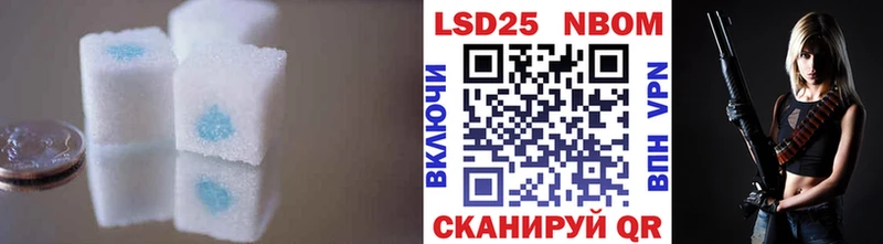 дарк нет наркотические препараты  Шилка  LSD-25 экстази ecstasy  даркнет сайт 