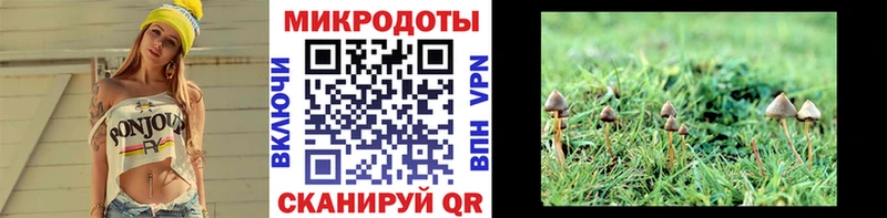 Галлюциногенные грибы GOLDEN TEACHER  Шилка 